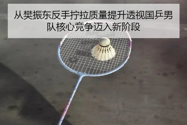 cong-fan-zhen-dong-fan-shou-ning-la-zhi-liang-ti-sheng-tou-shi-guo-ping-nan-dui-he-xin-jing-zheng-mai-ru-xin-jie-duan-2-862.jpg